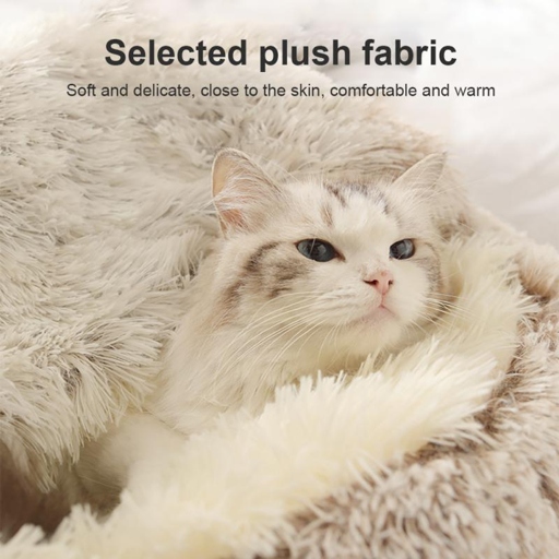 2- The cat could be drawn to the fabric because it is soft and comfortable.