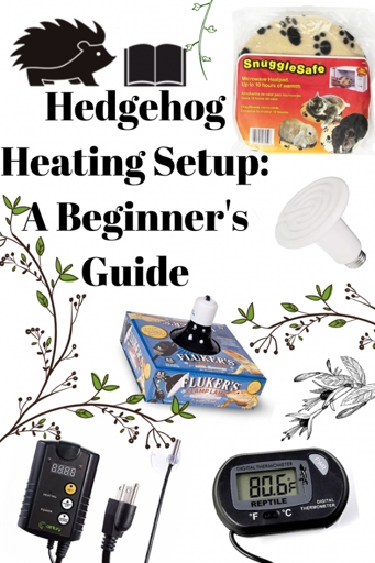 3. Heating lamps are a great way to keep hedgehogs warm.