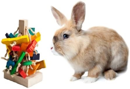 A toy tree is a great way to keep your rabbit entertained.