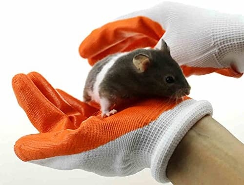 Before taking your hamster out of its cage, make sure to put on gloves.