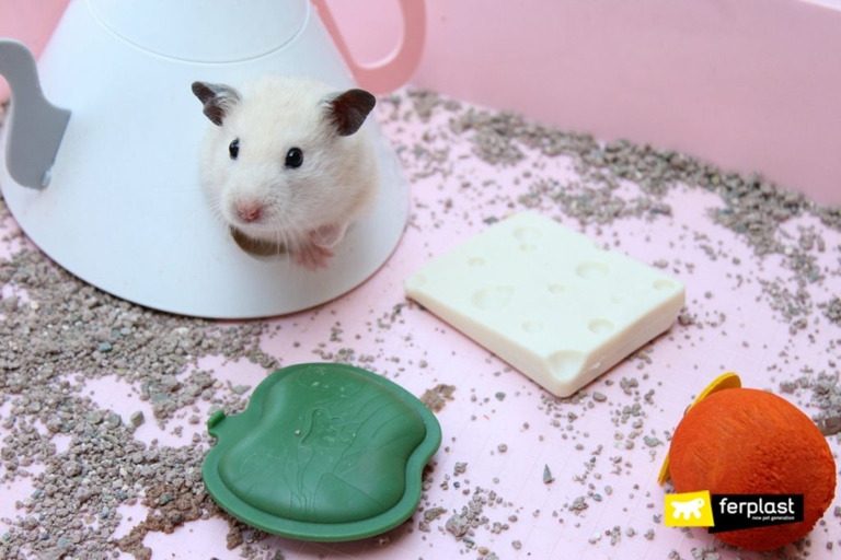 Chew toys are a great way to keep your hamster's teeth healthy.
