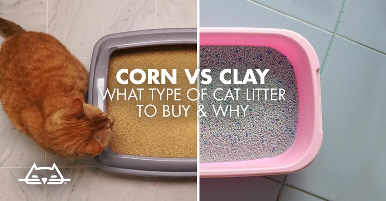 Corn is a popular natural alternative to clay-based cat litters.