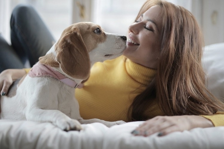 Dogs lick their owners in the morning as a way to say 