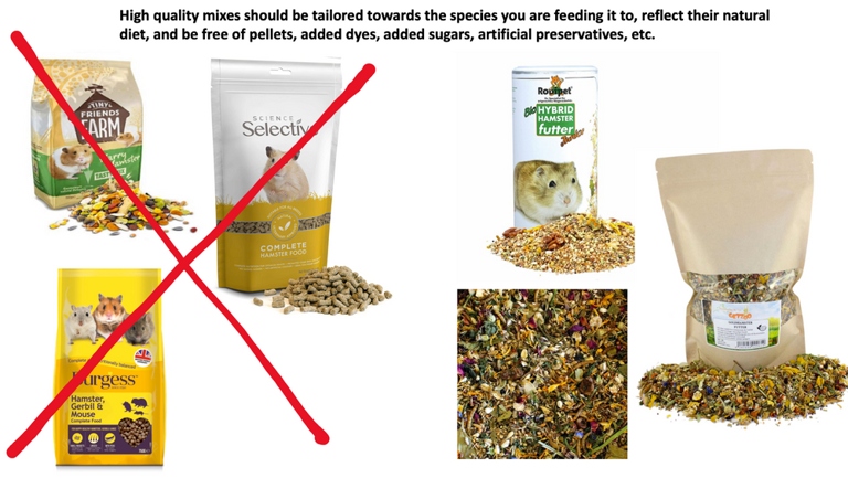 Dry hamster food is a great option for those looking for an affordable, healthy food for their hamster.