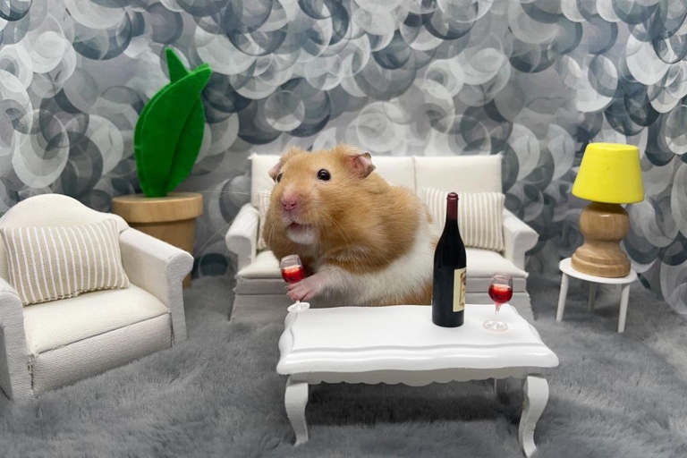 Hamsters' ages can affect their eating and drinking habits.