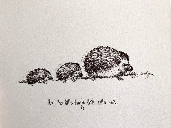 Hedgehogs are delicate creatures, so it's important to pick them up correctly.
