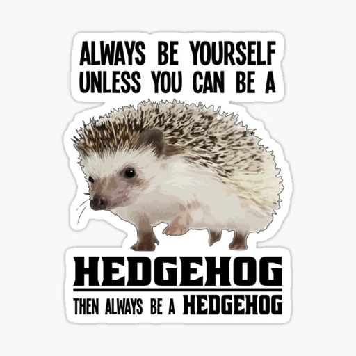 Hedgehogs are known to be intelligent animals, and their behavior changes when they join a family.