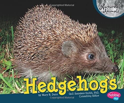 Hedgehogs are nocturnal animals.