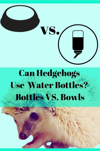Hedgehogs can drink water from water bottles, but it is not recommended.