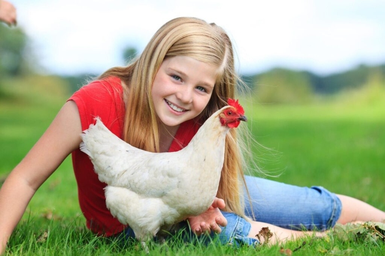 HLS is a common chicken disease that can be prevented with proper care.