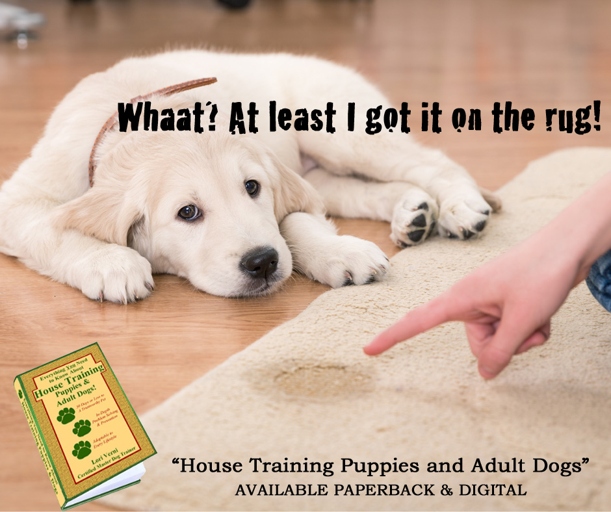 Housetraining your pet can be a difficult task.