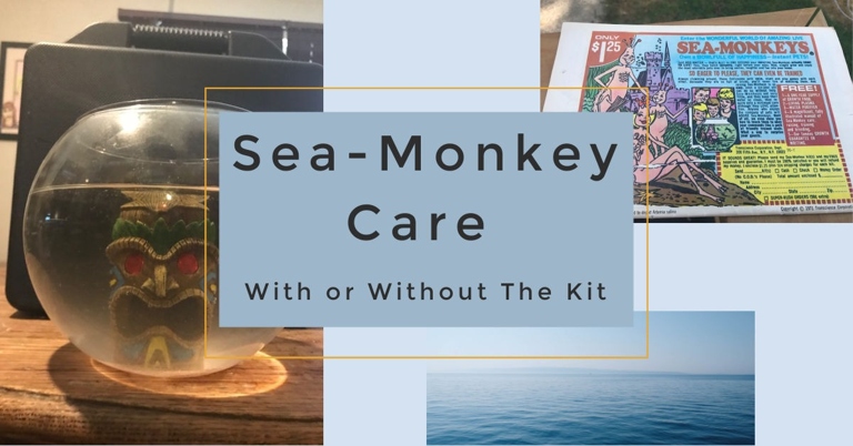 If cared for properly, Sea Monkeys can make for fun and interesting pets.