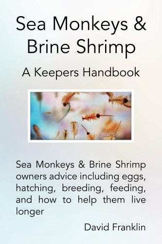 If the Sea Monkeys don't hatch, you can try feeding them brine shrimp eggs.