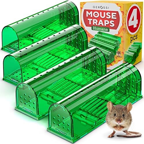 If you are concerned about attracting mice, you can use humane traps to catch and release them elsewhere.