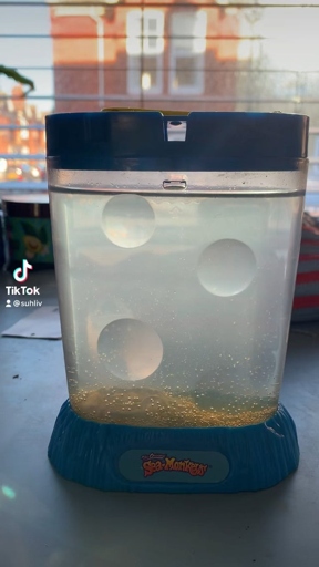 If you don't add enough water to your Sea Monkey tank, the eggs won't hatch.