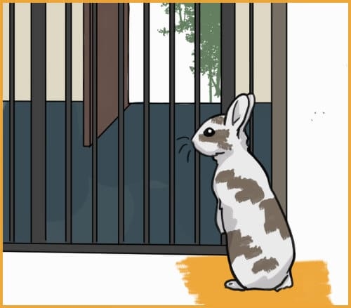 If you have a reaction after coming in contact with a rabbit, you may be allergic.