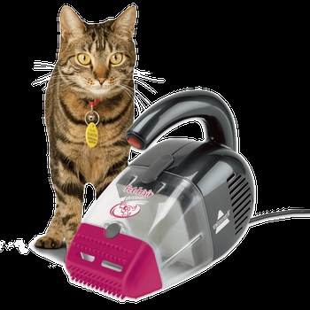 If you have a vacuum cleaner with a hose attachment, you can vacuum your cat while they are in their carrier.