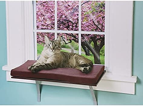 If you want to keep your cat off the window sill, give them a good alternative by setting up a perch.