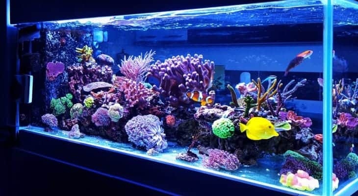 If you're looking to sell a fish tank quickly, be prepared to negotiate.