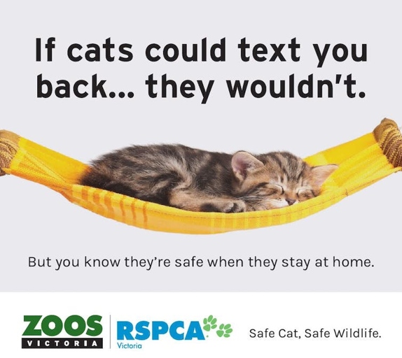It is best to keep your cats and dogs indoors to protect local wildlife.