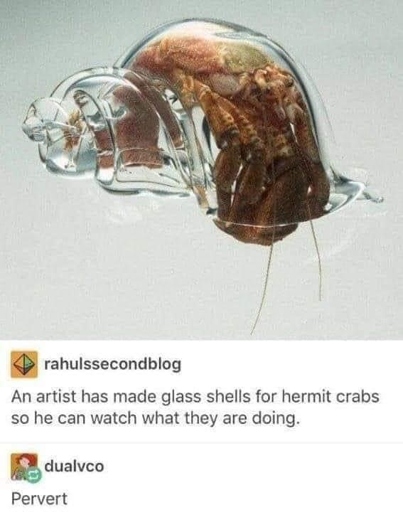 No, glass shells are not bad for hermit crabs.
