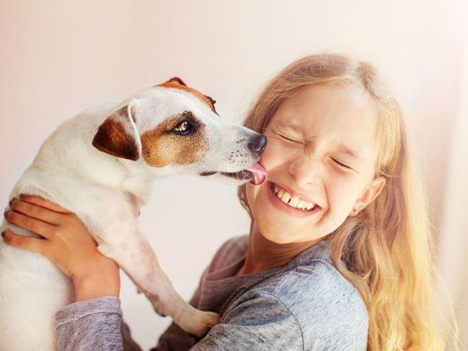 One reason your dog may lick you in the morning is to show affection.