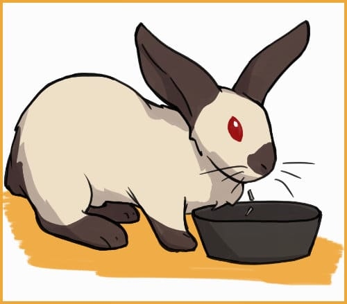 One reason your rabbit may stop eating is if they are sick.