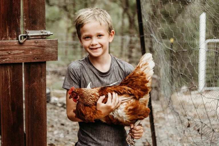 One way to bond with your chickens is to give them treats.