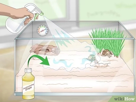 One way to keep a hermit crab tank humid is to buy a humidifier.
