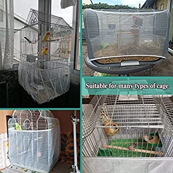One way to keep cats away from a bird cage is to reinforce the cage with chicken wire.