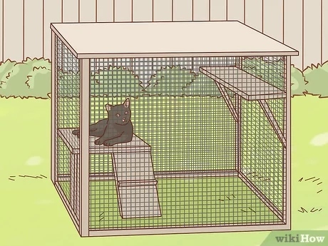 One way to keep your cat away from a bird cage is to give them other sources of stimulation.