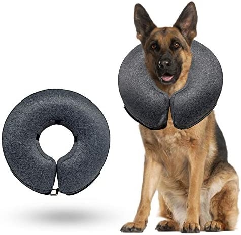 One way to keep your dog from scratching a neck wound is to take them on a walk.