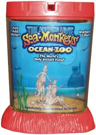 One way to keep your Sea Monkeys entertained is to give them a small toy to play with.