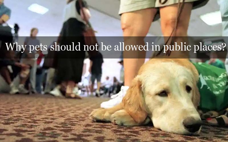 Pets are not allowed in some public places.