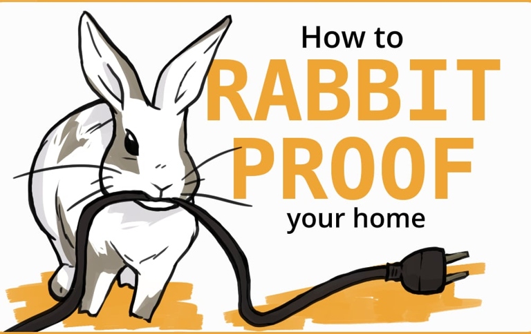 Rabbits and ferrets can get along, but you'll need to do some preparation to make sure your home is rabbit-proof.