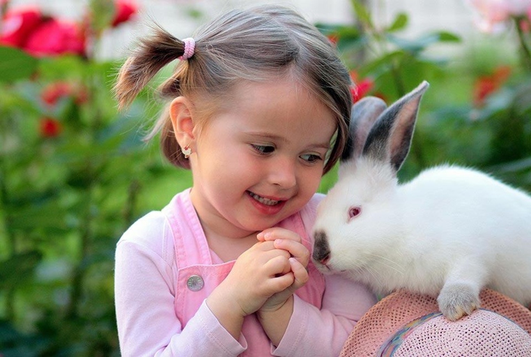 Rabbits are social creatures and love to play with their owners.