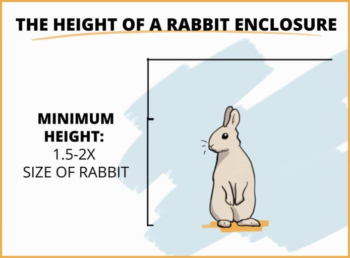 Rabbits are social creatures and need a lot of space to roam.