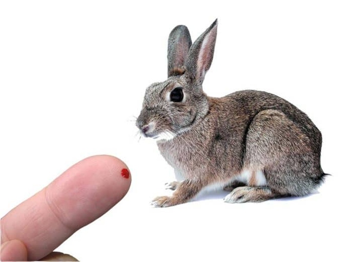 Rabbits can bite for many reasons, including fear, aggression, or simply because they are curious.
