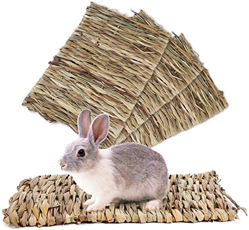 Rabbits enjoy chewing on grass rugs.
