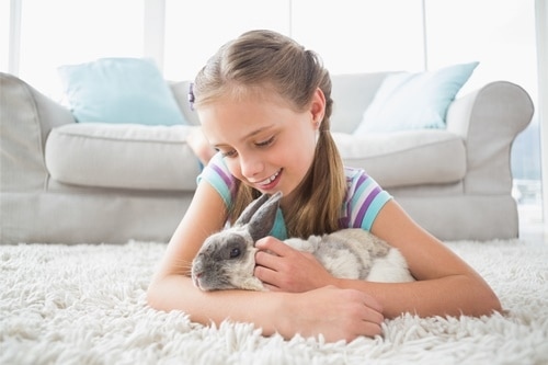 Rabbits nudge their owners for many reasons, including to show affection, to get attention, or to ask for food.