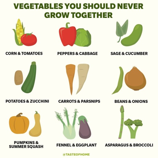 The 5 vegetables to avoid are: potatoes, tomatoes, corn, peas and beans.