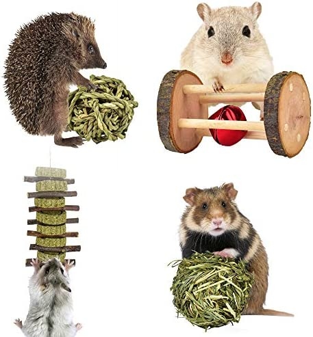 The best options for hamsters to chew on are wooden blocks, mineral blocks, and hay.
