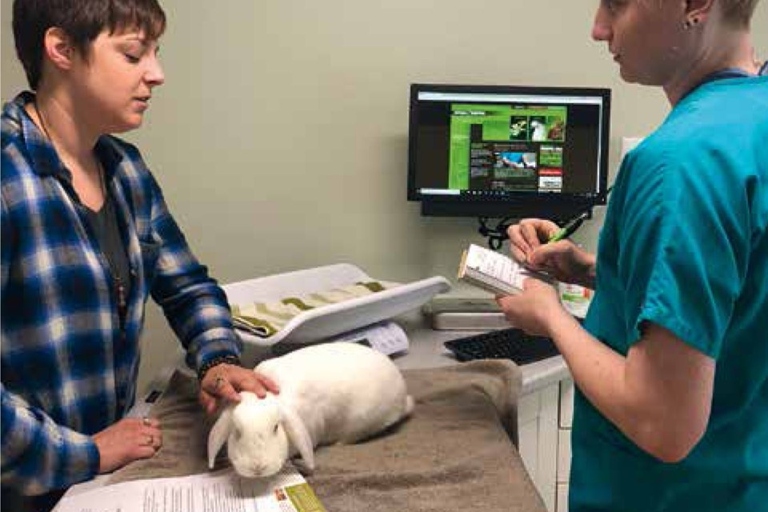 The best way to check a wild rabbit's health is by taking it to a vet.