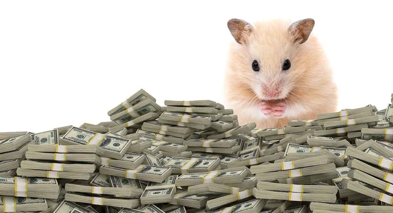 The cost of taking a hamster to the vet can range from $25 to $100.