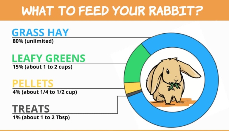 The diet of a wild rabbit is mostly hay, fresh vegetables, and a small amount of pellets, while the diet of a domestic rabbit is mostly pellets, fresh vegetables, and a small amount of hay.
