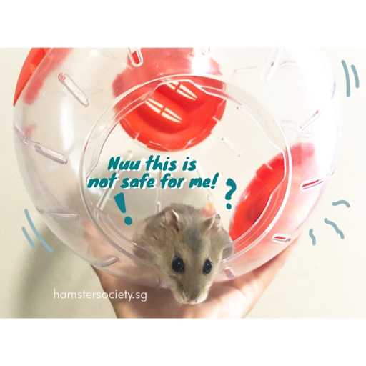 The hamster ball can get dirty from the inside or the outside.