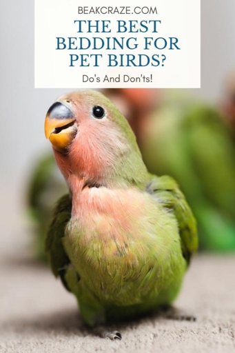 The type of bedding you use can make a big difference in how your bird cage smells.