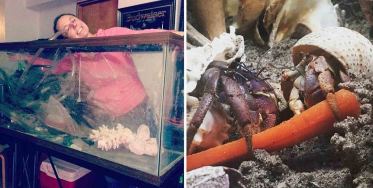 There are a few hermit crab rescues that will take an unwanted crab.