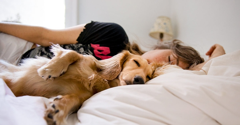 There are a few reasons your dog might sleep in the bathroom, but peace and quiet is likely one of them.