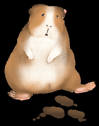 There are a few warning signs to look for in guinea pig poop: change in color, consistency, or frequency.